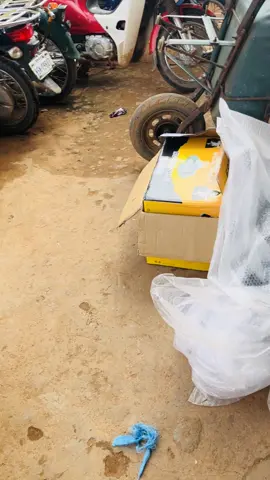 I love the song so much 🤩😍