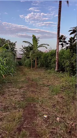 You already know how to make money 🤣 #Money #Success #Finance #business 