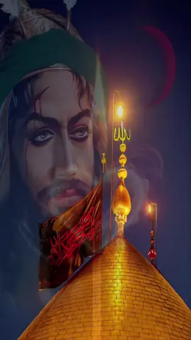 كون اموت وما اصد يوم الگفاچ🥹🥹🔥#يازينب_يامولاتي #ياابا_الفضل_العباس #شعراء_وذواقين_الشعر_الشعبي🎸 #forupage 