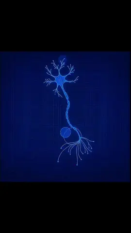 How to Rewire Your Identity Using Neuroplasticity: Become Who You Want to Be.  #neuroscience #success  #SelfImprovement #fyp 