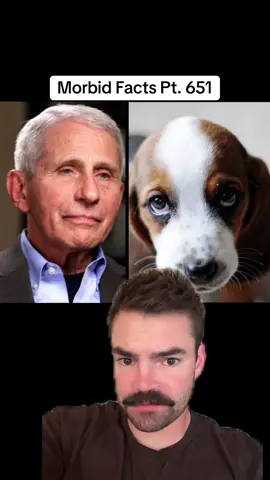 Trust the science guys, HE IS THE SCIENCE!!! #morbidfacts #History #drfauci #fyp 