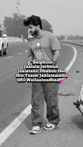 Salphina#imaj #fyp #fypシ゚viral🖤tiktok #catsoftiktok #repost #fouryou #views #fypp 