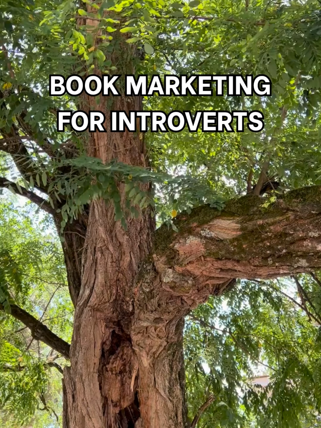 Book marketing for introverts: a 7-step emotional rollercoaster I wrote the book. I loved the book. And then the algorithm said, “Who dis, new phone??” Send help. Or engagement. #indieauthorsoftiktok #selfpublishedauthor #writersoftiktok #debutauthor #BookTok #romcomreads #readfrolick #frolickbook
