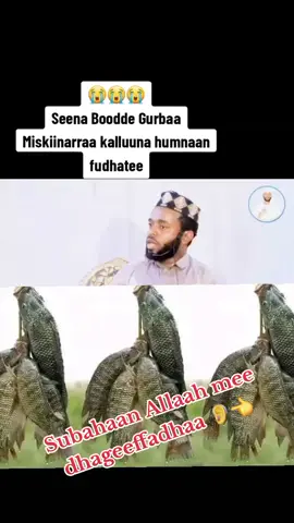 #creatorsearchinsights #subahaan Allaah #dhageeffadhaa #oromotiktok #islamic_video #muslimtiktok #ethiopian_tik_tok🇪🇹🇪🇹🇪🇹🇪🇹 