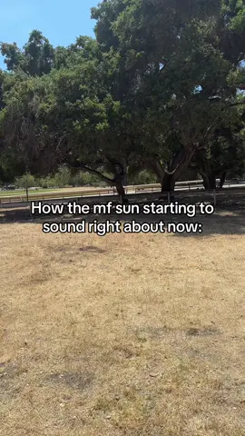 🤣🤣 #relatable #Summer #fyp 