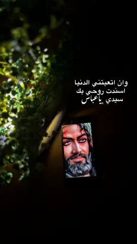 كون أحط راسي بحنان متونك #ياابا_الفضل_العباس #ياعباس #يابوفاضل #العباس_عليه_السلام #الامام_العباس #قمر_بني_هاشم #fyp #مدوهنه_زينب_مدوهنه 