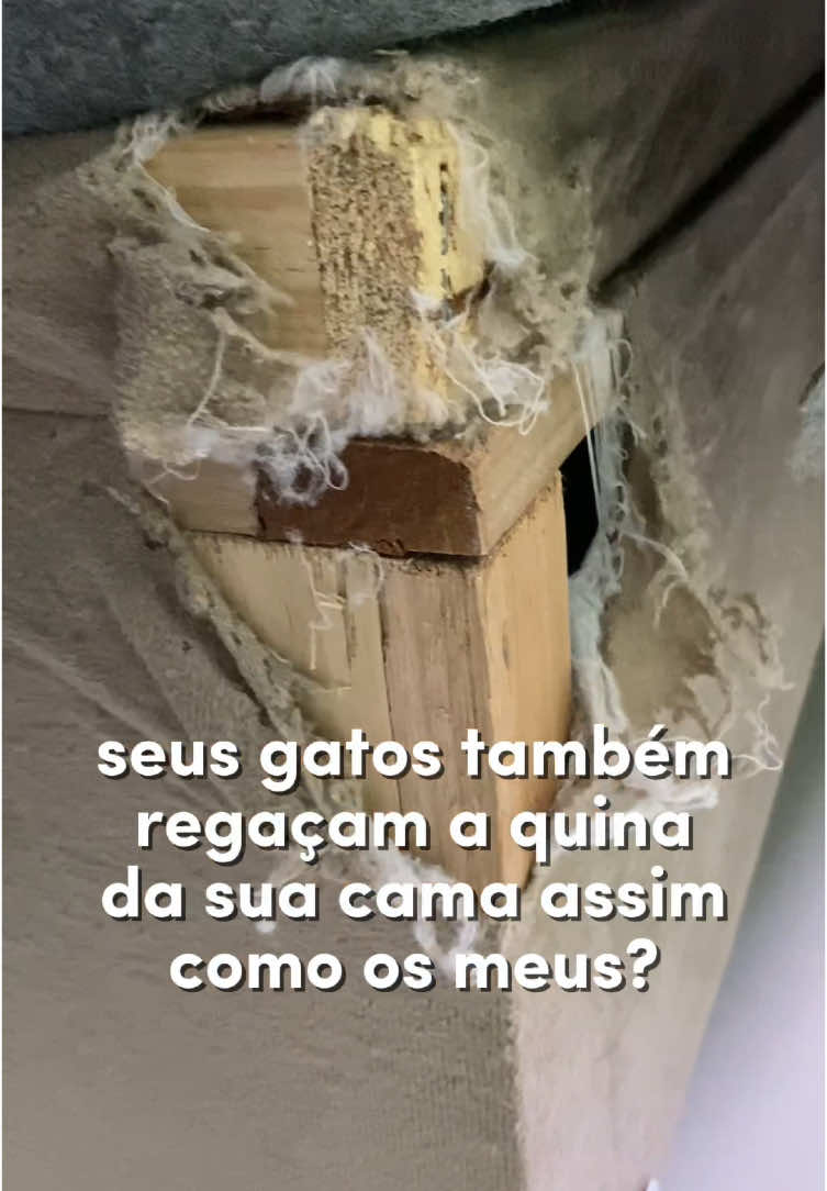 Se seus gatos também acham que a quina da cama é um parquinho, você precisa conhecer esse protetor/arranhador! 🐾 Comprei na Shopee, é feito em carpete resinado (bem resistente), super fácil de instalar e ainda ajuda um projeto que resgata gatinhos! 💛 Tem pra cama box, cama baú, vários tamanhos e cores. Aqui uso na minha cama king e queen, e ficou perfeito. 🛒 Código pra buscar na Shopee: AEL-HFT-SAW (Só copiar, colar na busca e pronto!) Gostou da dica? Me segue pra mais achadinhos que facilitam a vida de quem tem pet em casa! #Achadinhos #AchadinhosShopee #acheinashopee #gatos #gatosfofinhos #cat #Achadinhosdashopee #utilidadesdolar #utensiliosdomesticos #organizacao #limpeza