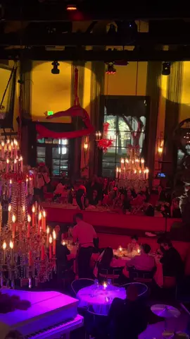 #aerial #aerialist #silks #spin #trick #wrap #drop #castle #dinnershow
