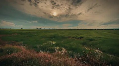 #CapCut Uncover . #capcutradio #chill #nature #daisucctt #uncover #sky #foryou 