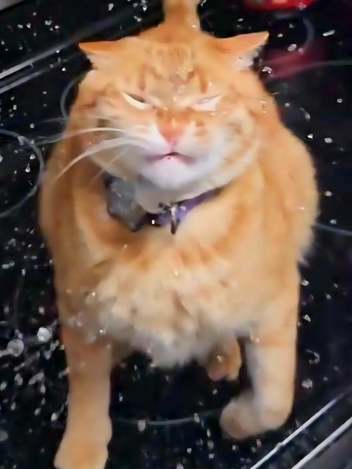 he is fine its just water