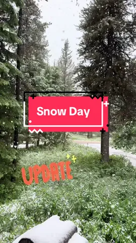 Update—Still snowing and very cold and wet.  #thegaysofyellowstone #fyp #snowday 