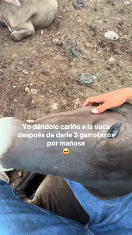 😆 #rancho #foryour #contenido 