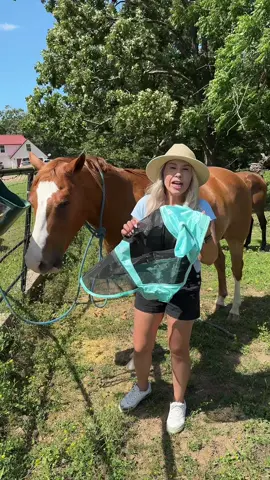 La mejor máscara para protejerle los ojos y hoidos a los caballos @Rancho La centencia 