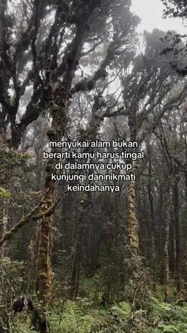 Hhhh#hutan #perjalanan #sad #sadvibes #sadvibes🥀 #katakata #gunung #gunungindonesia #pendaki #pendakigunung #patah #fyp #pendakibengkuluoffcial #hutan #fyppppppppppppppppppppppp 
