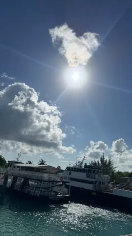 #greenscreenvideo #carnivalcruise #vacationmode #bahamas #kneedeep 