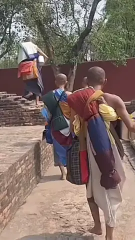 Sư huynh đệ Minh Thức, Phổ Minh ... đến thăm Thánh Tích Vườn Lộc Uyển một trong tứ Thánh Tích tại Ấn Độ . 23/6/2025. #thayminhthuc #thayphominh #thayminhtuemoinhat #thayminhtue #thichminhtue #tinco369 