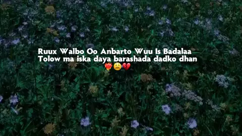 #fyp #viral_video #viewsproblem #somalitiktok 