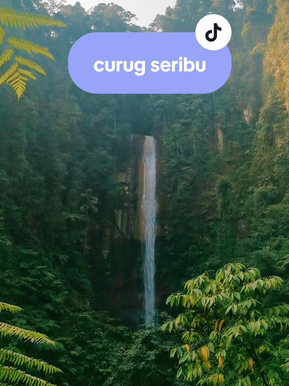 curug seribu #curugseribu #curugseribubogor #curugseribupamijahan #airterjun #curug 