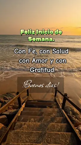 Feliz Inicio de Semana.. Con Fe, con Salud, con Amor y con Gratitud...❤️‍🩹✨️💫🙏😇 #buenosdias #lunes #oracion #reflexion #dios #fé #amor #salud #gratitud #graciasdios #diostebendiga #amen 