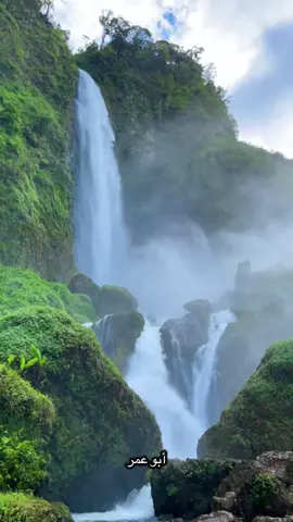 من أحلى مناظر شلال سيتامبور في سيانجور ما شاء الله 😍 #سياحة #اندونيسيا #بونساك #سفر #شلال 
