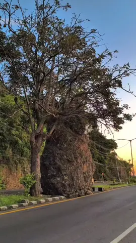 Sunrise of Java #sunrise #sunriseview #pesonabanyuwangi #pesonaindonesia #pesonaalamindonesia #pantaivibes #ujungtimurjawa #watudodolbanyuwangi #photography #vidiography #kontenhiburan #kontenkekinian #kontenalam #pemandangan #pemandanganalam #pemandanganaesthetic #pemandanganindah 