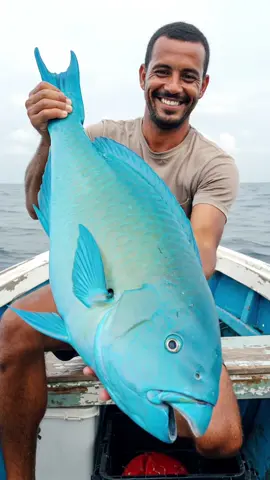 A Single Parrotfish Can Produce Hundreds of Pounds of Sand Each Year! 🐠🏖️ #NatureBuilder #ReefLife 