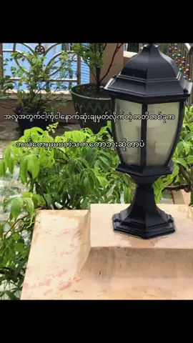 #nocaption #fyp #foryou #moots? 