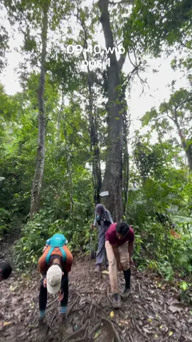 #gunungbetungpesawaran#pendakigunung 