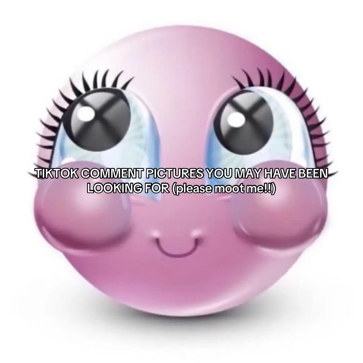 TikTok comment picture memes you may have been looking for|| Please please follow me|| #Tatcha #share #edit #blowthisup #roblox #viral #meme #tiktok #viralvideo #ifb #ifollowbacc💙🤞🏽 #trending #sound #funny #makeup #grwm #foryoupage #foryou #growagarden #game #singing 