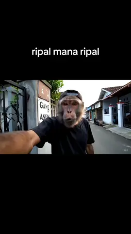 si ripal maen ngerebut pacar si Memet  heran dah #VEO3 #GoogleVeo3 #geminiai #fyp 