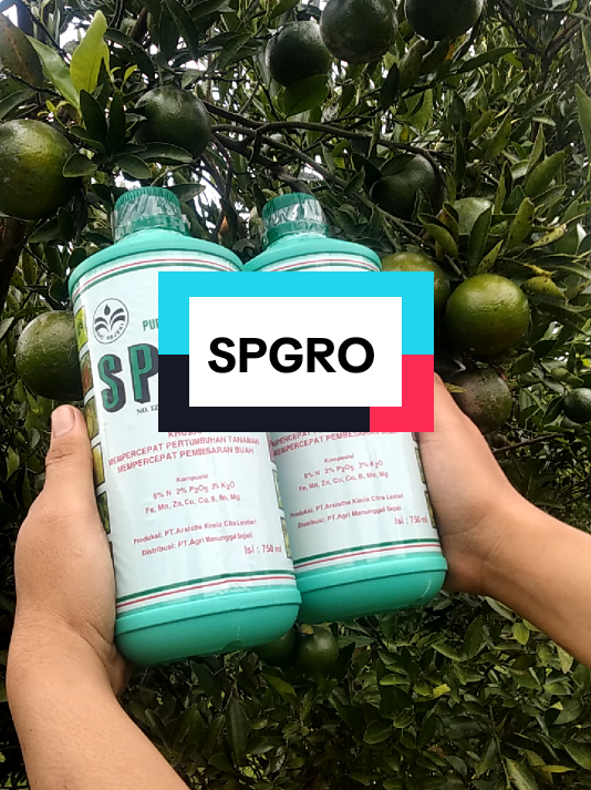 pupuk cair SPGRO Hijau #pupukcairspgro #petanijerukmadu 