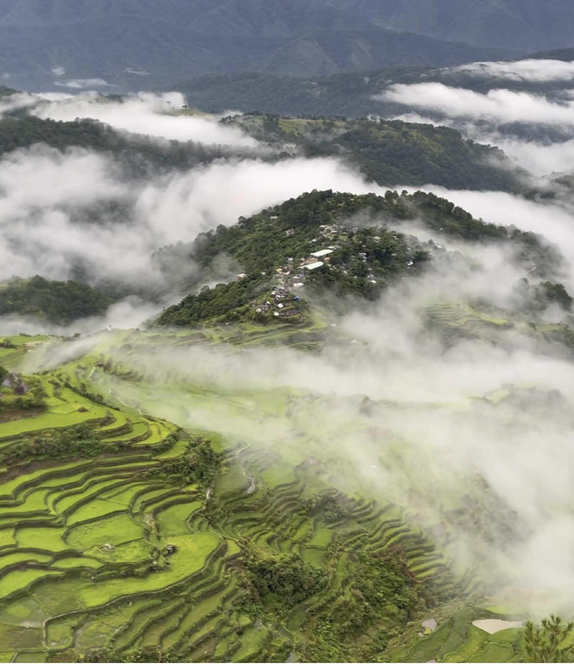 📍Mt. Kupapey ft. Maligcong Rice Terraces Once seen in books, now seen for real!