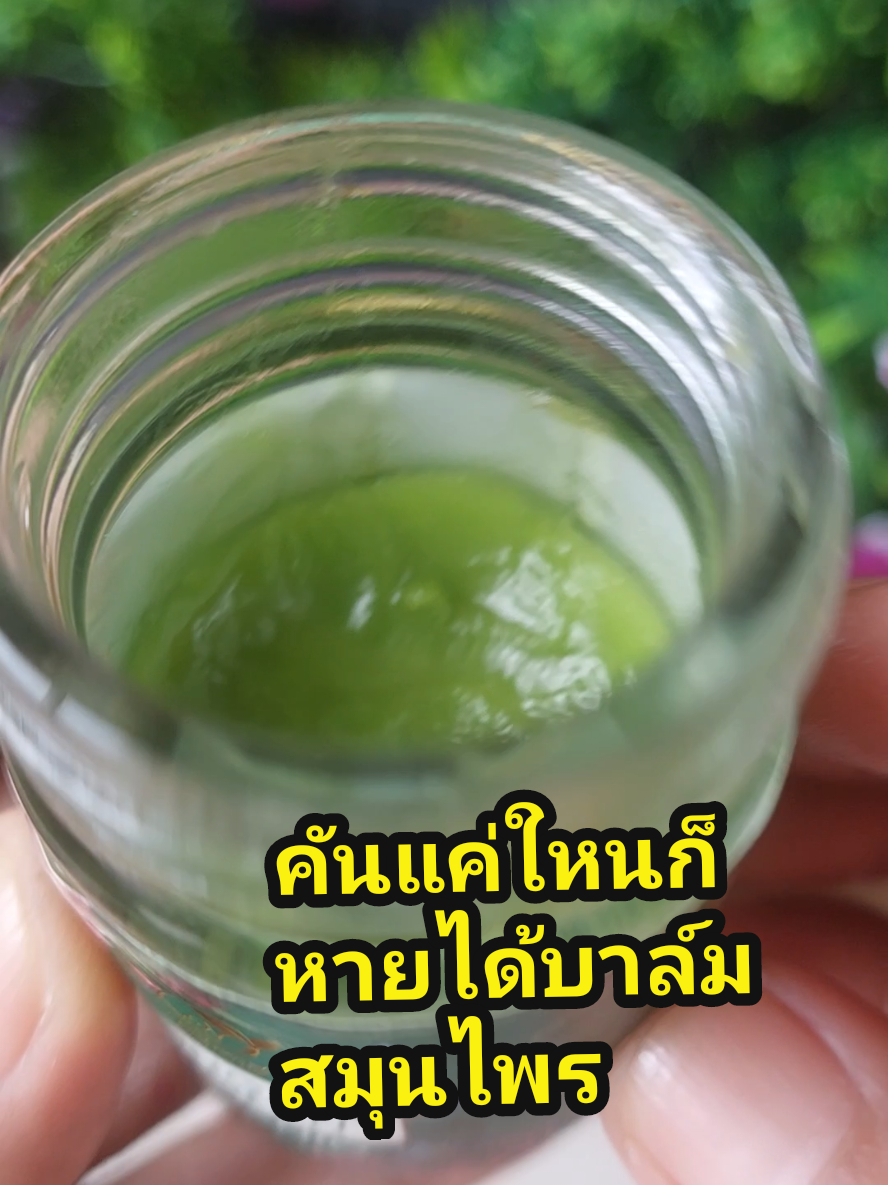 #พี่แดงออนไลน์สายสกินแคร์ #ติ๊กต๊อกป้ายยา #บาล์มสมุนไพร #กลากเกลื้อน #คันในร่มผ้า #คัน #เชื้อรา #สมุนไพร @พี่แดงออนไลน์สายสกินแคร์ @พี่แดงออนไลน์สายสกินแคร์ @พี่แดงออนไลน์สายสกินแคร์ 