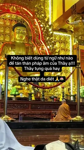 Một nén hương thơm, tạp niệm tan biến theo mây khói. Giàu nghèo rồi cũng về với cát bụi. Thọ trì kinh Dược Sư , ngộ ra nghiệp báo thiện ác nhân quả luân hồi chẳng thiên vị một ai.#duocsuluulyquangvuongphat #phatphapnhiemmau #nammoadidaphat #phatphapnhiemmau #phatphapnhiemmau 