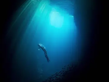 Không Đau Nữa Rồi – Ver Pháp Kiều #khongdaunuaroi #emxinhsayhi #52hz #orange #chaubui #mymy #phapkieu  #CapCut 