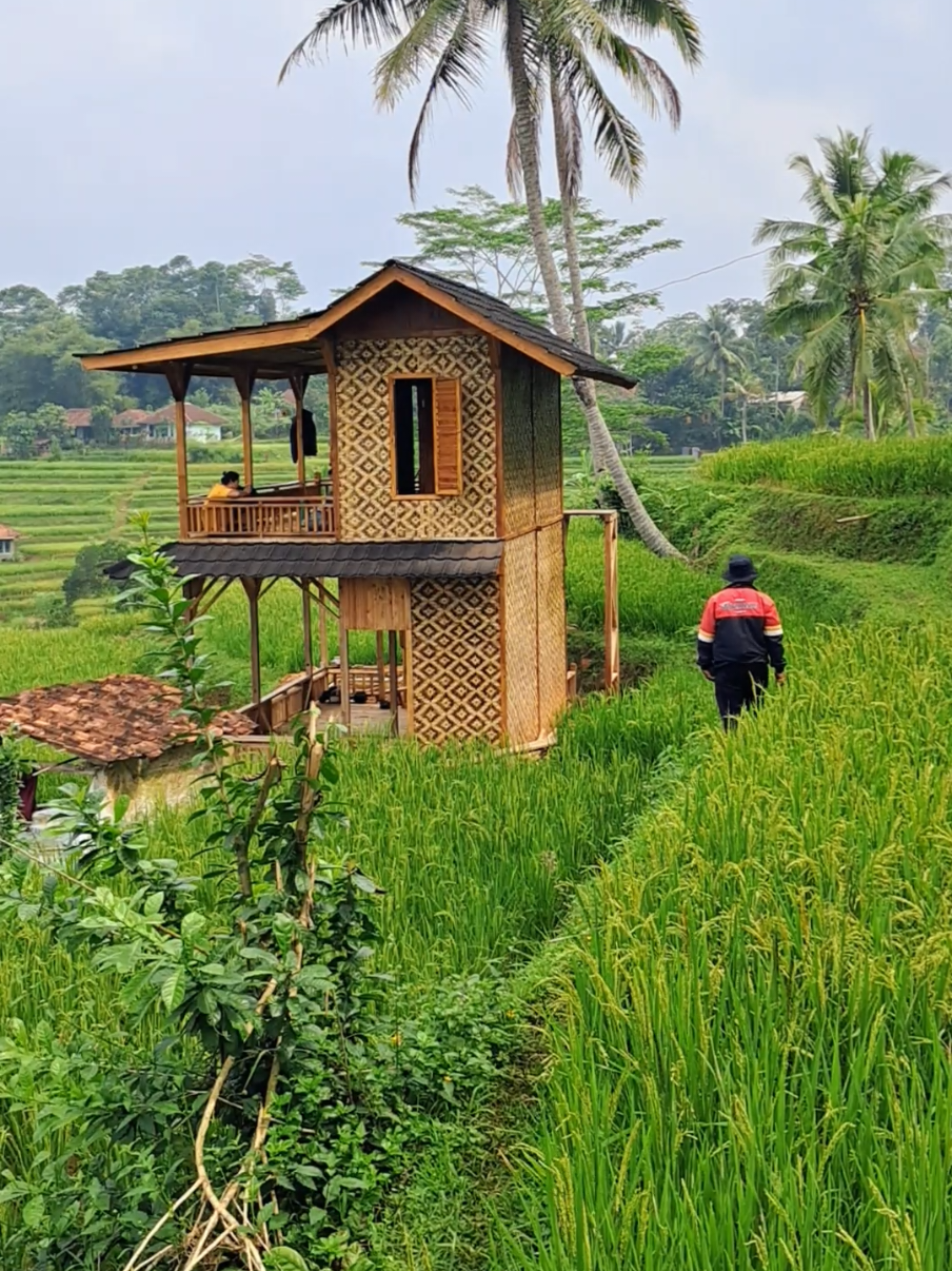 Suasana saung viral (CTK) Cianjur Turunan Kidul  #merekamalamdesapasundan #suasanapedesaan #saungsawah #saungviral #reels #fypシ #viraltiktok #viralvideo #fypage 