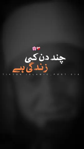 CHND DIN KI ZINDAGI HAI….!!!!🥺❤️‍🩹🕊️ #foryou #foryoupage #trending #islamicvideos #islamicpost #tariqjamil #unfreezemyacount #burhan_tv #viral #viralaccount #goviral #muhammad_parvi #notyourparvi #islamicpost018 