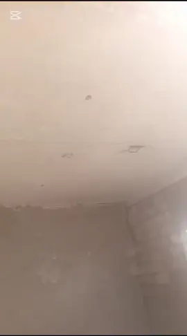 #CapCut #بلحب 😂