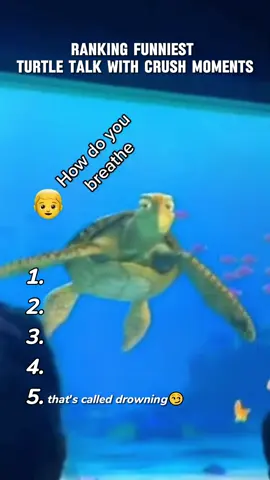 Turtle Talk With Crush #funny #turtletalkwithcrush #disney #fyp #disneyland 
