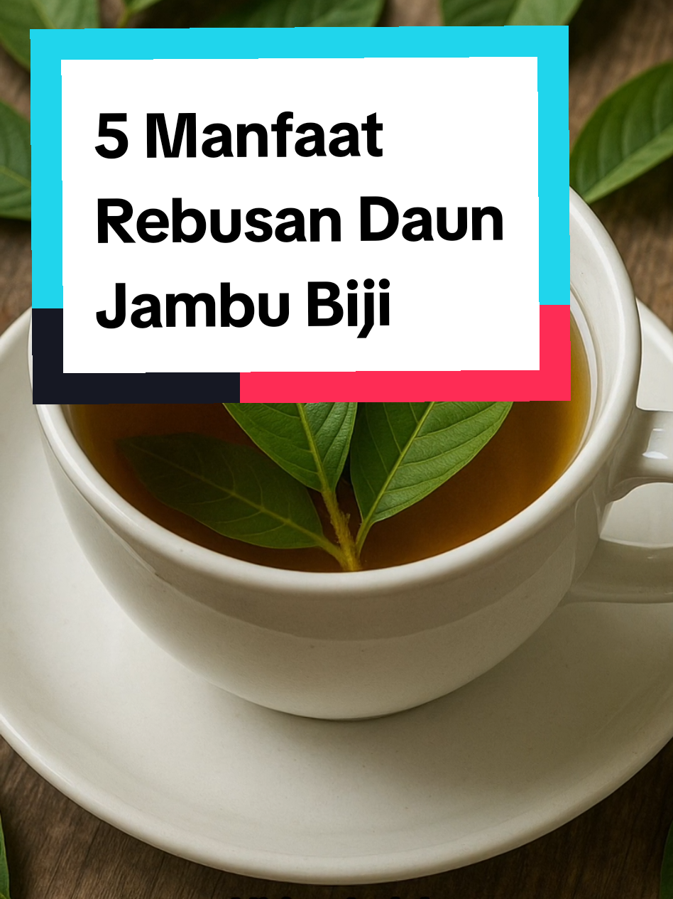 5 Manfaat Rebusan Daun Jambu Biji #hidupindah 