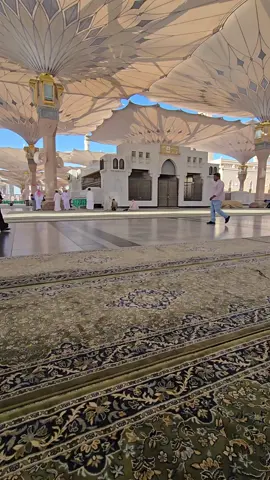 #المدينة_المنورة 