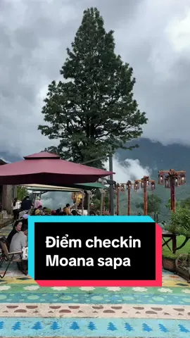 Thời tiết moana sapa #vivutaybactravel #dulichsapa #xuhuongtiktok #tiktokviral #capcut #moanasapa #taybac 