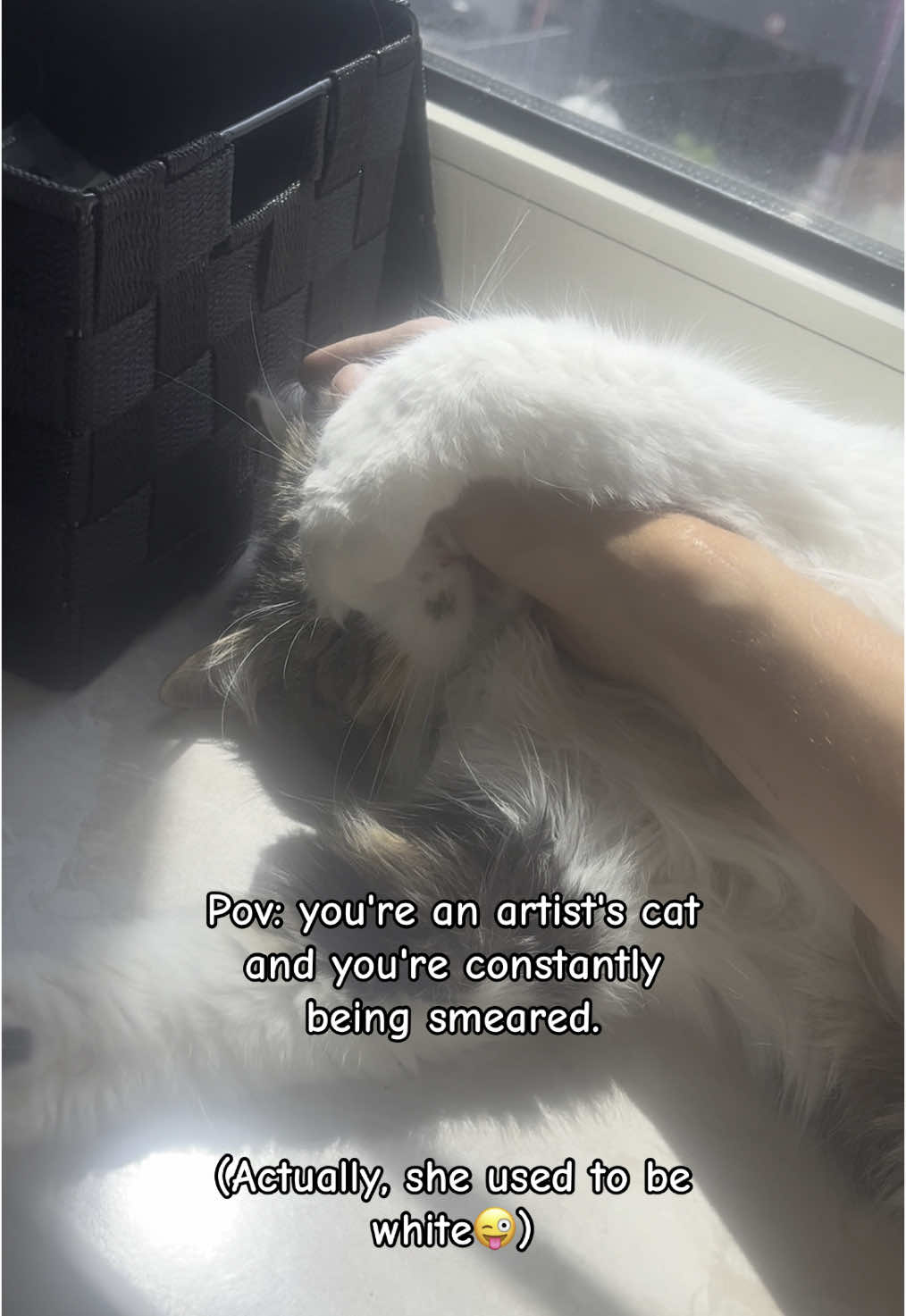 Meow . . #art #artist #kittycat #catvideo #fyp #forypupage #viral 