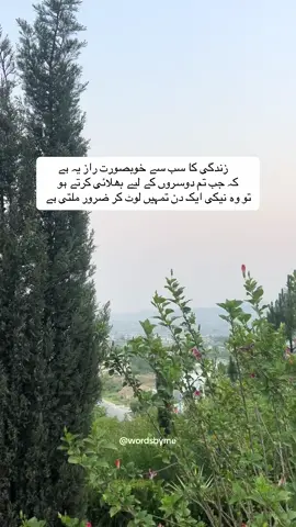 PEACE AND LOVE 🤍 زندگی کا سب سے خوبصورت راز یہ ہے کہ جب تم دوسروں کے لیے بھلائی کرتے ہو، تو وہ نیکی ایک دن تمہیں لوٹ کر ضرور ملتی ہے۔ اگر تم کسی کے چہرے پر مسکراہٹ لاتے ہو، تو قدرت تمہیں دل کا سکون عطا کرتی ہے۔ کسی بھوکے کو کھانا کھلاؤ کسی مایوس کو حوصلہ دو کسی غمگین کو دعادو۔ یہ سب تمہاری اپنی زندگی میں آسانیاں پیدا کرے گا۔ یہی اللہ کا نظام ہے جو دوسروں کے لیے آسانی چاہتا ہے، اس کے لیے آسمان کے دروازے کھلتے ہیں #naturelover #peace #Love #allah #qoutes #fup #fyp #foryou #foryoupage #viralvideos #viral