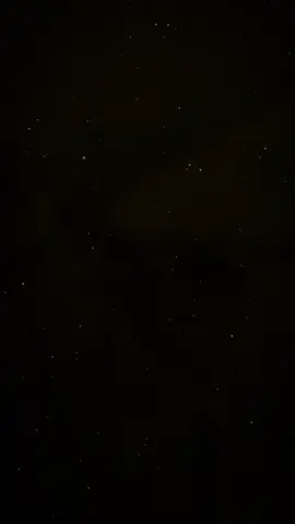 #CapCut 