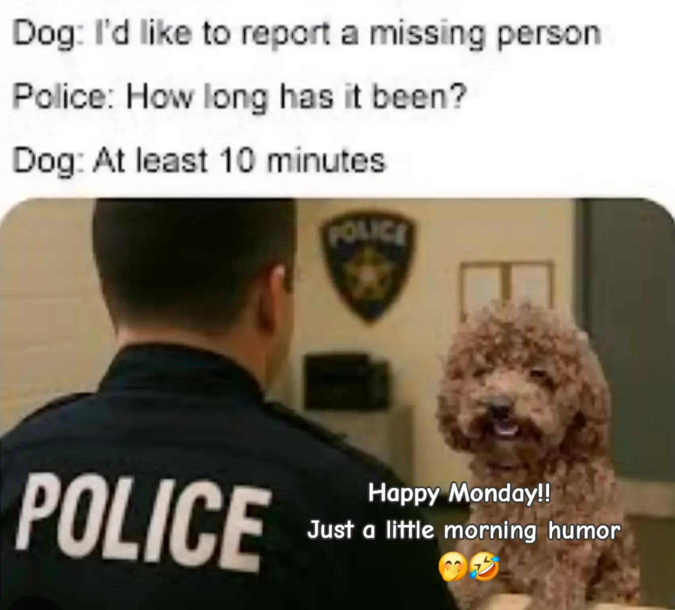 #fypシ #happymonday #littlemorninghumor #goodday #fypage 