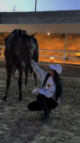 T❤️#قفز_حواجز #equestrian #اكسبلور #نادي_السلام_للفروسيه #خيل_وخياله🐎 #خيل_عربي 