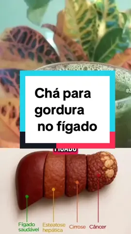 Chá para gordura no fígado! Compartilhe com quem precisa !#cha #natural #saude #dicas #figadogordo #esteatosehepatica 