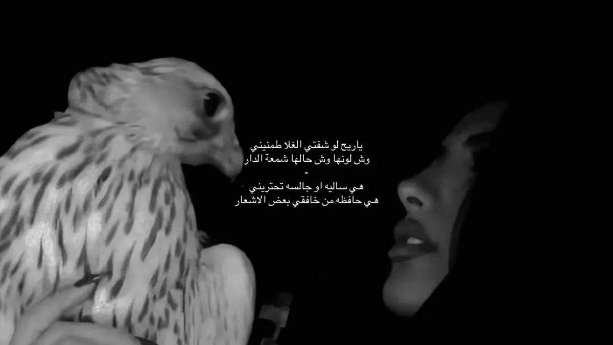 ياريح لو شفتي الغلا طمنيني  وش لونها وش حالها شمعة الدار  هي ساليه او جالسه تحتريني هي حافظه من خافقي بعض الاشعار