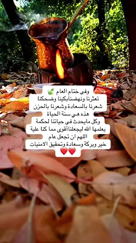 الله فى قلبي وقلبي فى يد الله وهذ مختصرالأمان والاطمئنان 🤍🕊